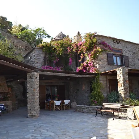 Cigale * Koundouros